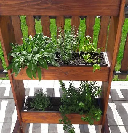 Szaloky Apartmanhaz דירה גיינסדיאס